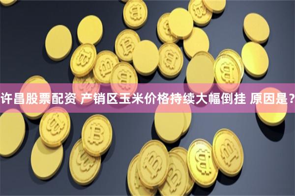 许昌股票配资 产销区玉米价格持续大幅倒挂 原因是？