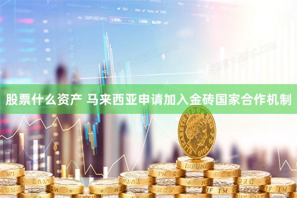 股票什么资产 马来西亚申请加入金砖国家合作机制