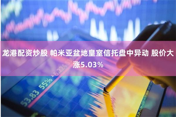 龙港配资炒股 帕米亚盆地皇室信托盘中异动 股价大涨5.03%