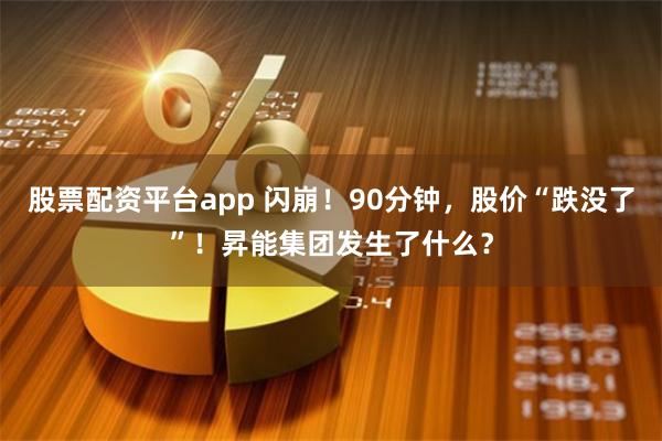 股票配资平台app 闪崩！90分钟，股价“跌没了”！昇能集团发生了什么？