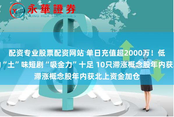 配资专业股票配资网站 单日充值超2000万！低成本高回报的“土”味短剧“吸金力”十足 10只滞涨概念股年内获北上资金加仓