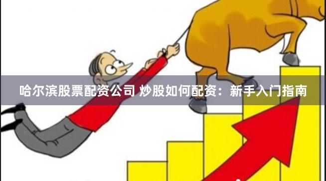 哈尔滨股票配资公司 炒股如何配资：新手入门指南