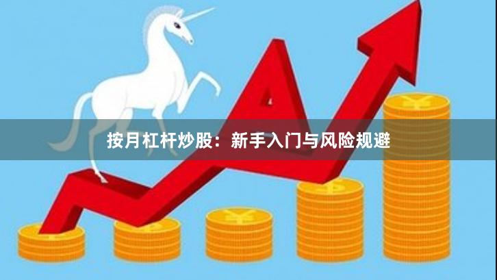 按月杠杆炒股：新手入门与风险规避